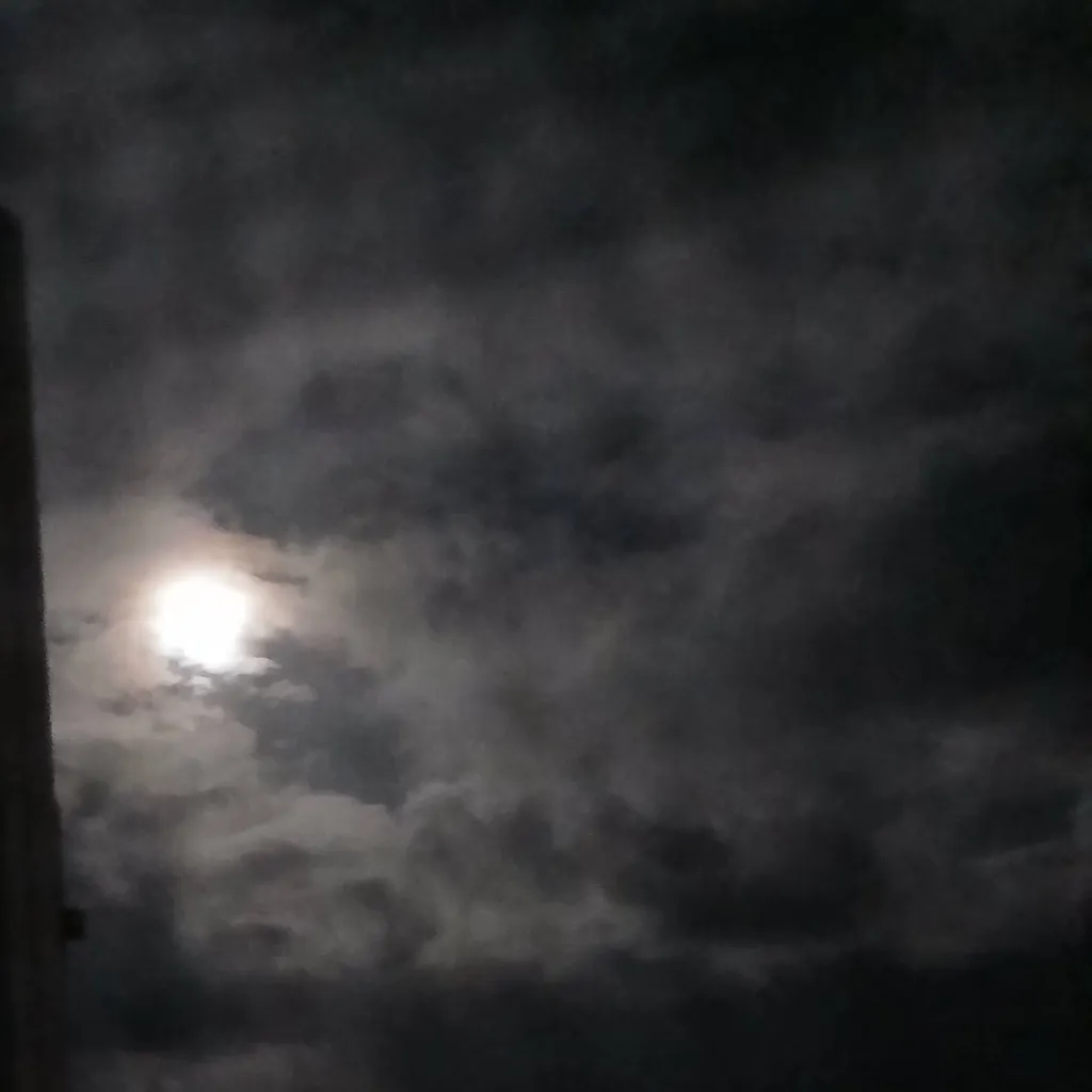 chat with ai character: Warrior Cats 💛❤