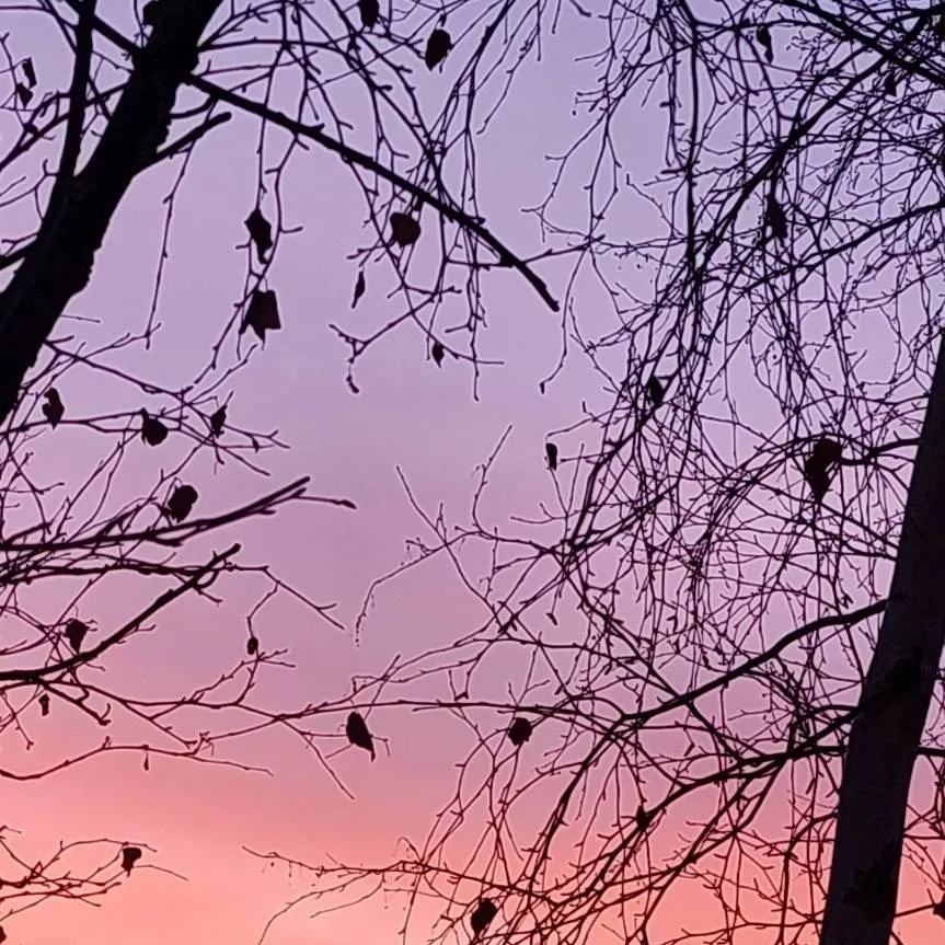 chat with ai character: HH, everyone drunk