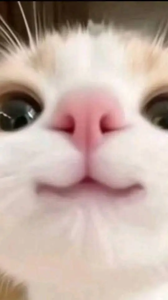 ai character: FORSAKEN CAMPING background