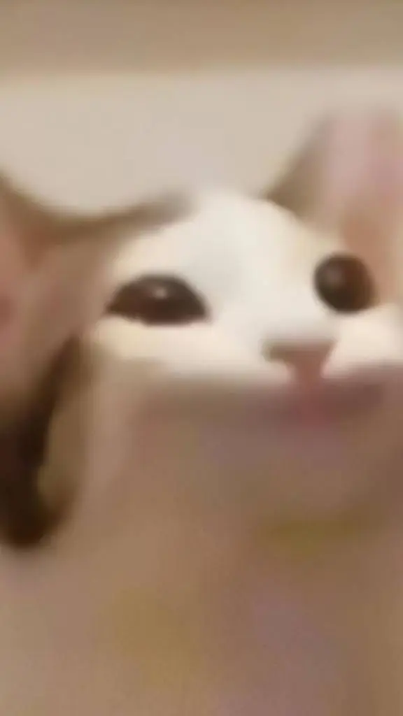 ai character: popcat background