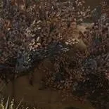 chat with ai character: Fs pick me (5XD)