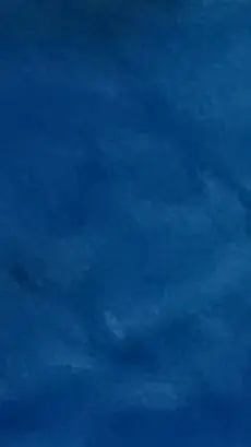 ai character: wifies x parrot  background