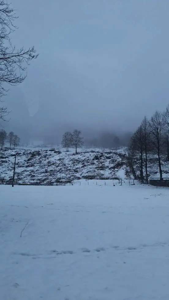 ai character: Wiki transformers  background