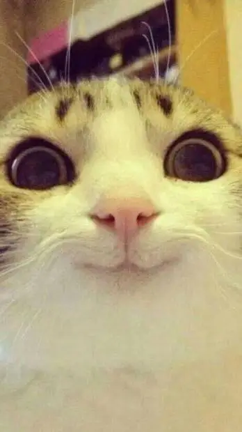 ai character: XD seco te pase qu background