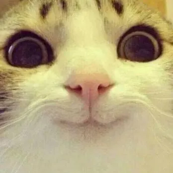 chat with ai character: XD seco te pase qu