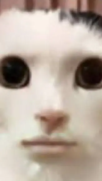 ai character: Qué acabo de ver  background