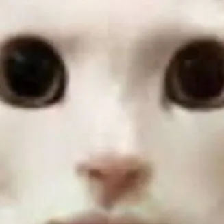 chat with ai character: Qué acabo de ver 