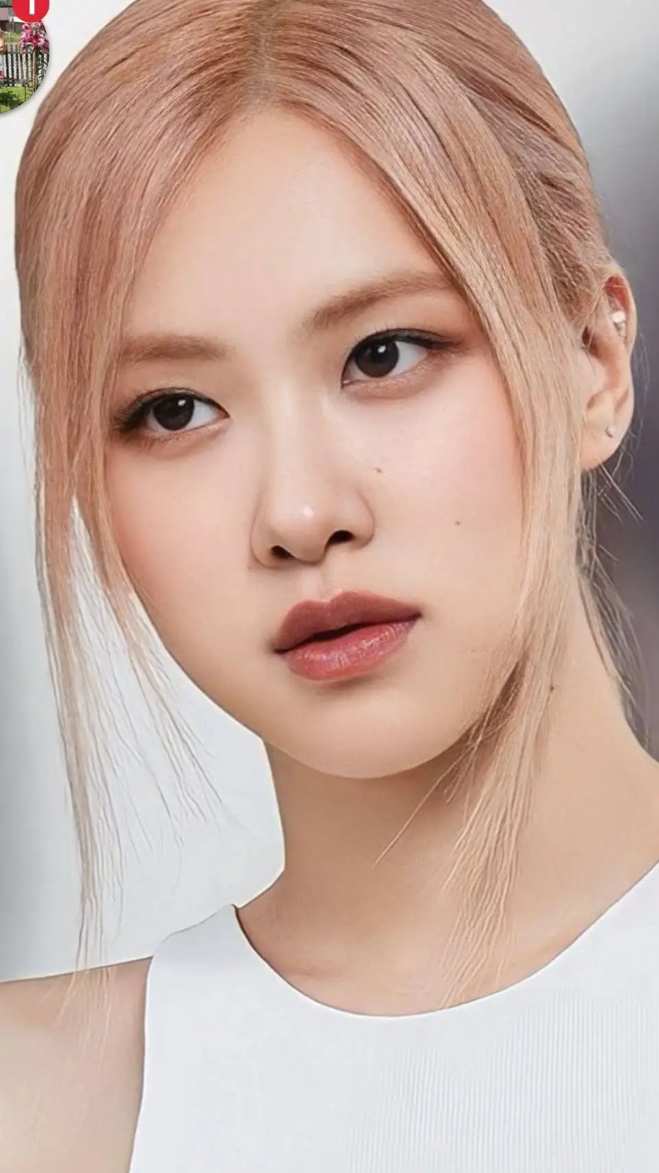 ai character: Rosé/Rosie background