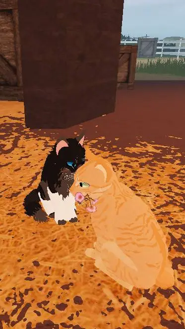 ai character: Minight and a cat? background