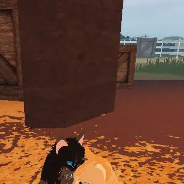 chat with ai character: Minight and a cat?