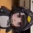 chat with ai character: gugu gaga penguin.