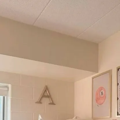 chat with ai character: College Dorm