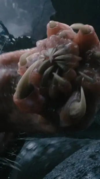 ai character: Carnictis background