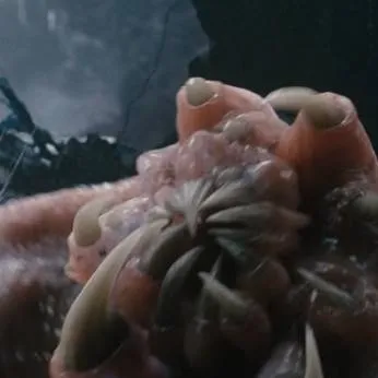 chat with ai character: Carnictis