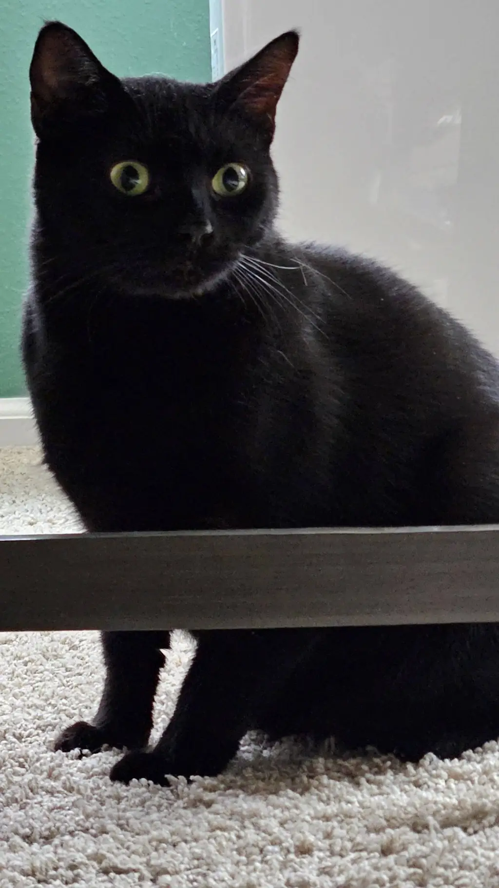 ai character: Muning/Choshek background