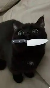 ai character: Danganronpa  background