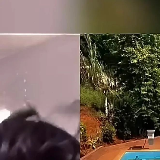 chat with ai character: your a sea monster