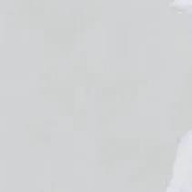 chat with ai character: finn