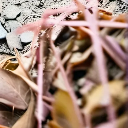 chat with ai character: grass