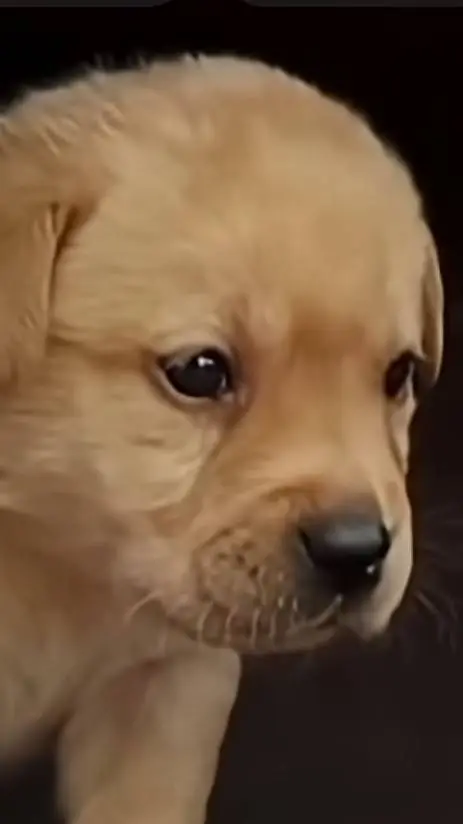 ai character: DW NEW TOON?!?!? background