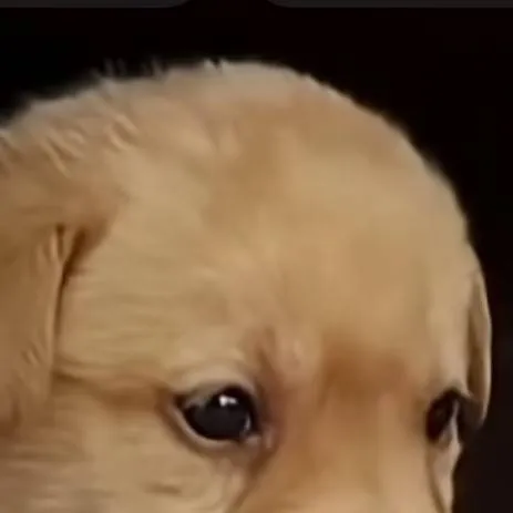 chat with ai character: DW NEW TOON?!?!?