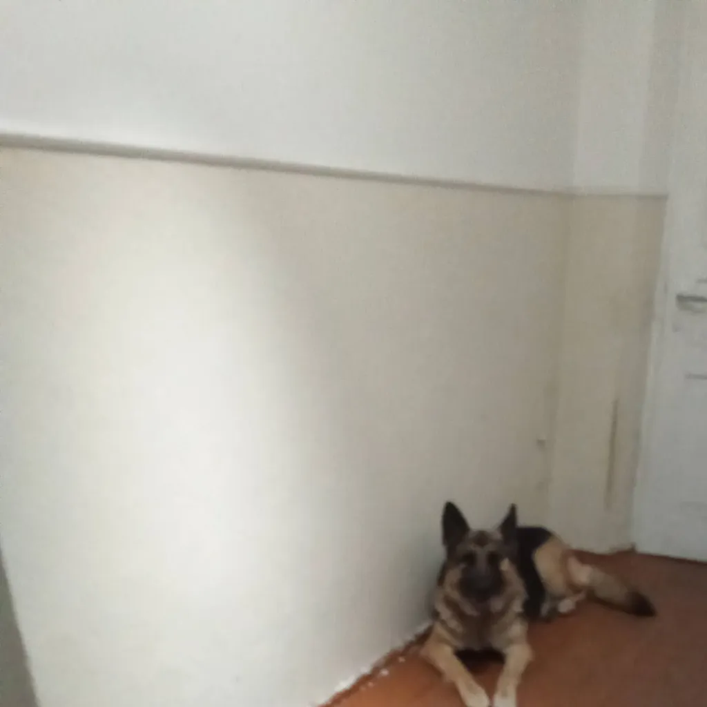 chat with ai character: Собаки нб