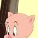 chat with ai character: porky