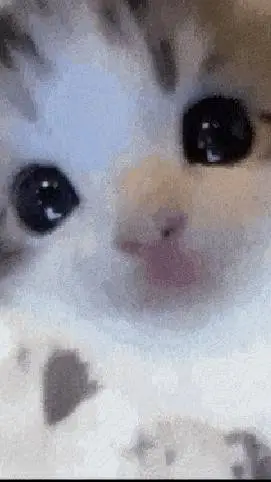 ai character: 𝗯𝗹𝗮𝗰𝗸𝘀𝗶𝘁𝗮? background