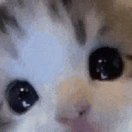 chat with ai character: 𝗯𝗹𝗮𝗰𝗸𝘀𝗶𝘁𝗮?