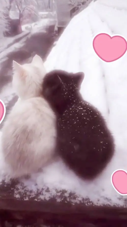 ai character: ~{miguel×jazmin}~ background