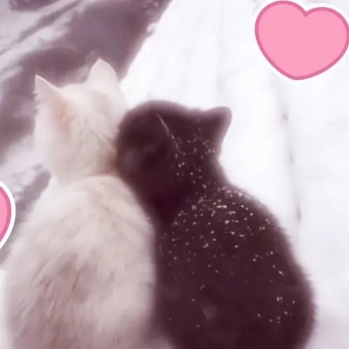 chat with ai character: ~{miguel×jazmin}~