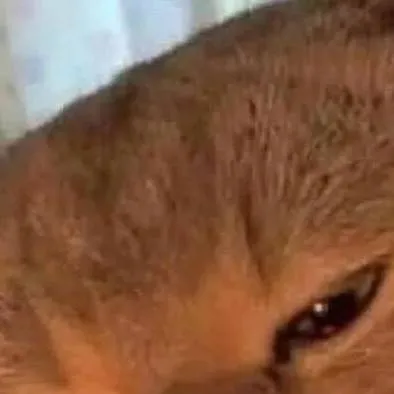 chat with ai character: 𝘺𝘢𝘱𝘢𝘱𝘢 𝘬𝘪𝘵𝘵𝘺