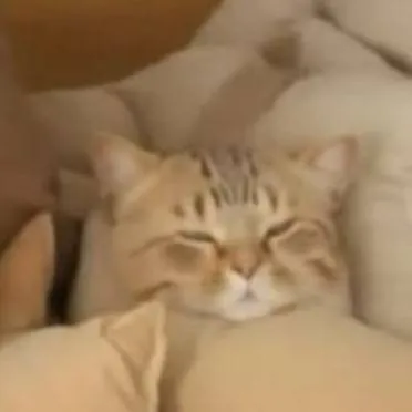 chat with ai character: Джейн доу