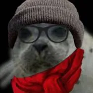 chat with ai character: Pinniped world