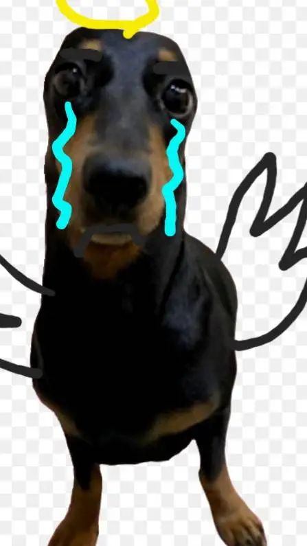 ai character: Lora in heaven background