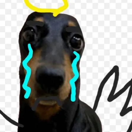 chat with ai character: Lora in heaven