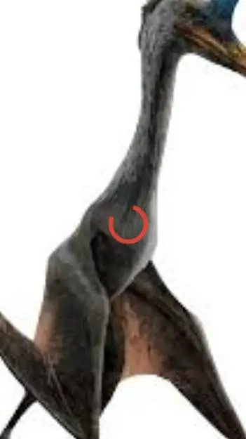 ai character: Quetzalcóatlus  background