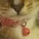 chat with ai character: ☆.tu gato 🐱.☆