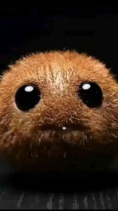 ai character: Niche kiwi background