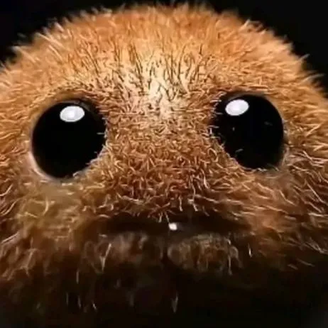 chat with ai character: Niche kiwi