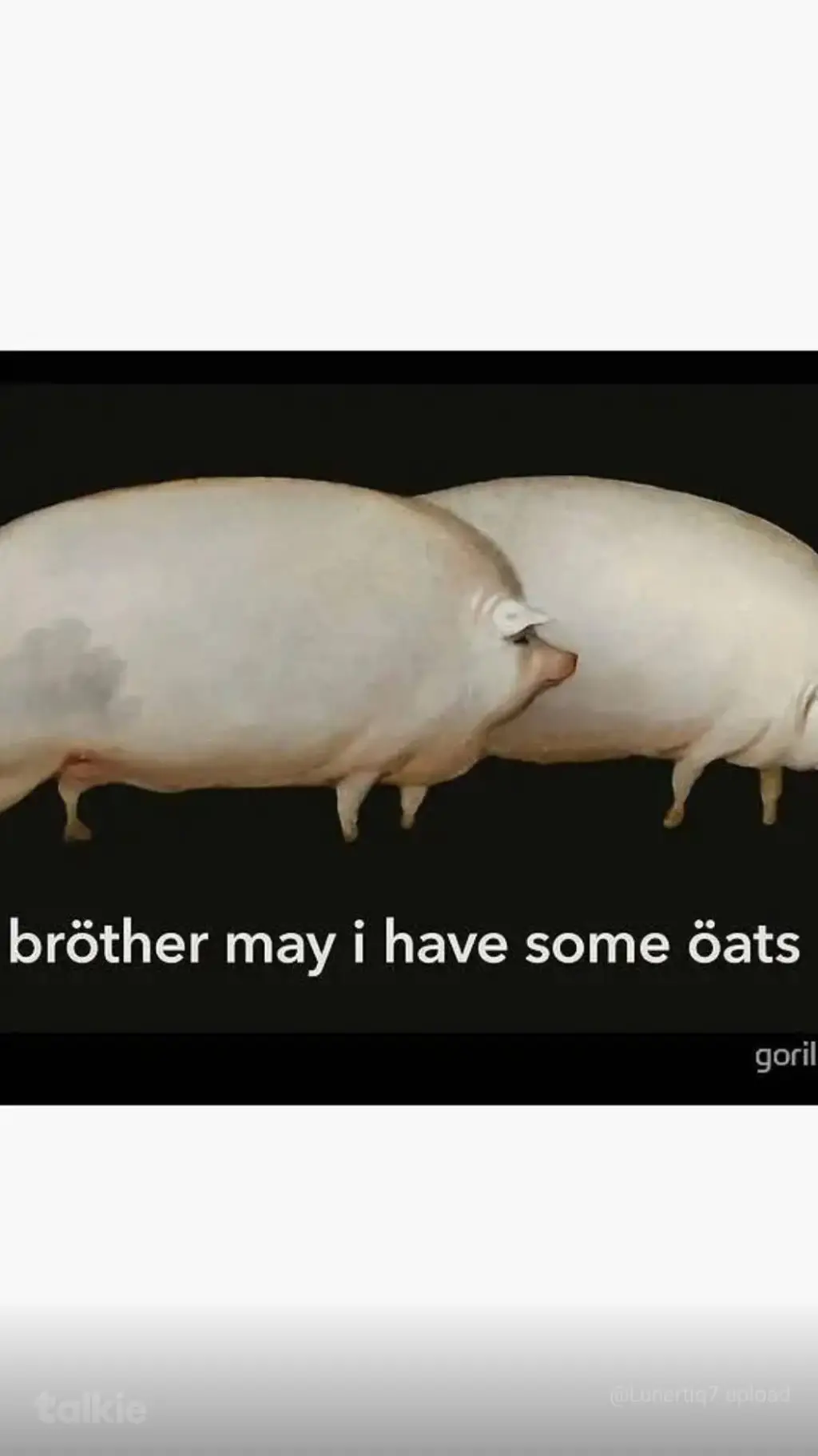 ai character: oats meme background