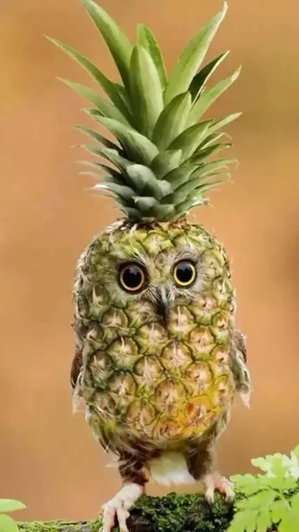 ai character: pineapple owl background