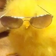 chat with ai character: cool ahh chick 