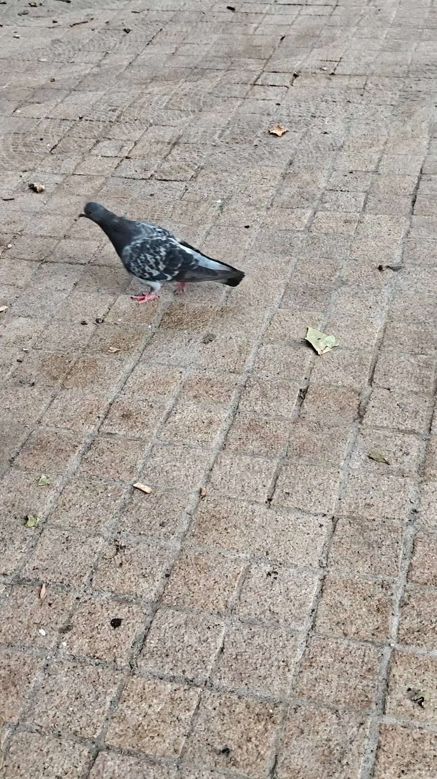 ai character: bird background