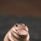 chat with ai character: Gregg