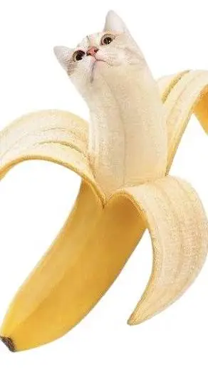 ai character: catnana background