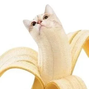 chat with ai character: catnana