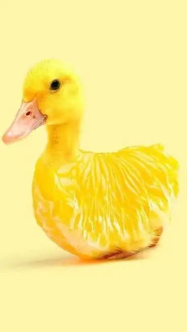 ai character: duck lemon background
