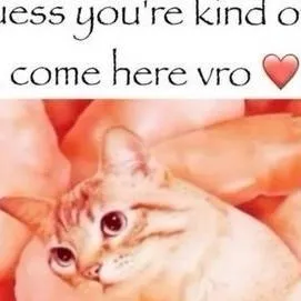 chat with ai character: Shrimp cat