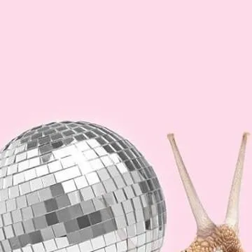 chat with ai character: Snail